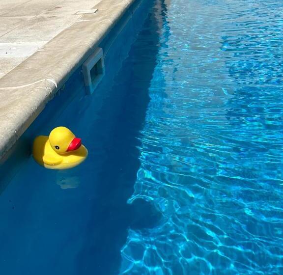 اتاق استاندارد با تراس, St Elena Boutique Residence