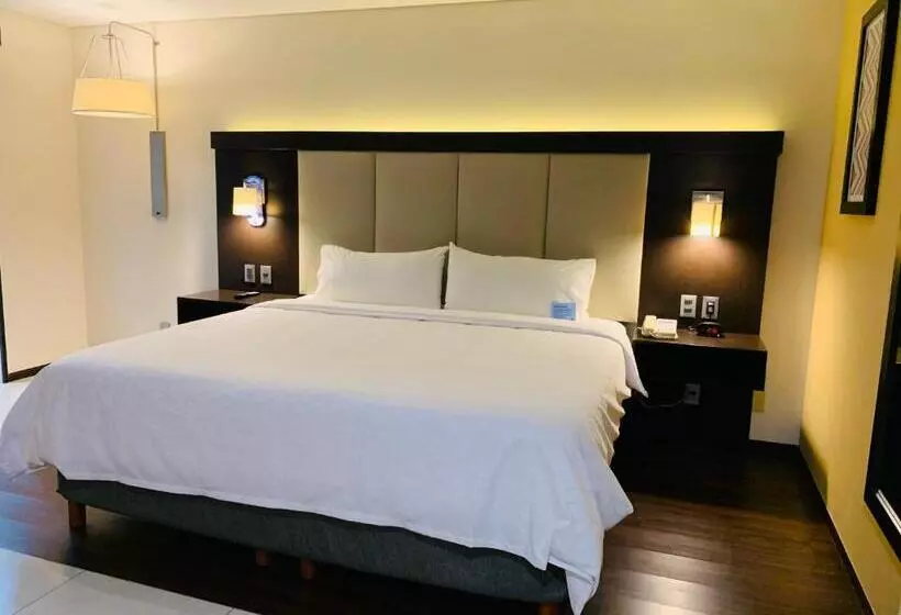 キングサイズベッドのスタンダードルーム, Holiday Inn Express   Mexico Basilica, An Ihg