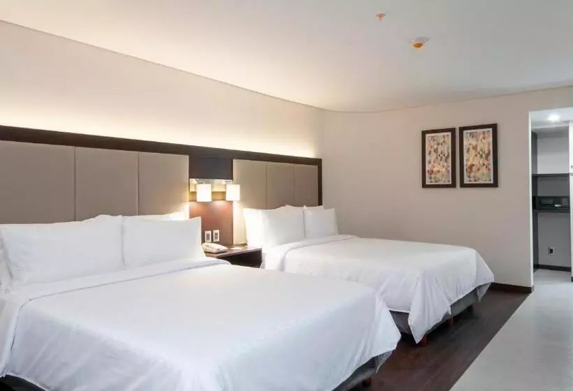 スタンダードルーム, Holiday Inn Express   Mexico Basilica, An Ihg