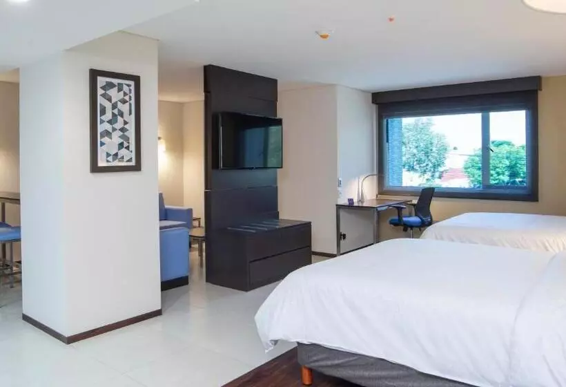 スイート, Holiday Inn Express   Mexico Basilica, An Ihg