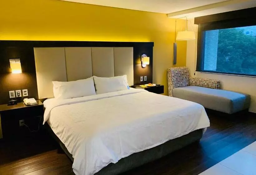 キングサイズベッドのスイートルーム, Holiday Inn Express   Mexico Basilica, An Ihg