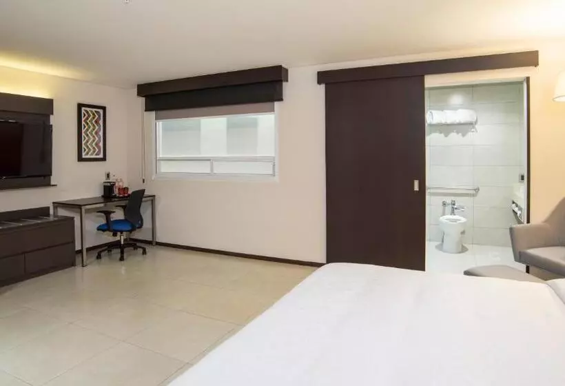 身障者適用キングサイズベッドルーム, Holiday Inn Express   Mexico Basilica, An Ihg