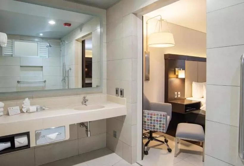 身障者適用キングサイズベッドルーム, Holiday Inn Express   Mexico Basilica, An Ihg