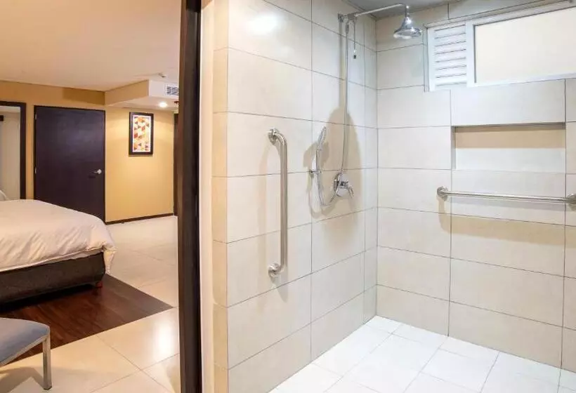 身障者適用キングサイズベッドルーム, Holiday Inn Express   Mexico Basilica, An Ihg