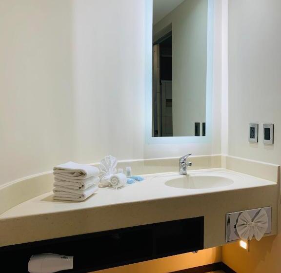 身障者適用キングサイズベッドルーム, Holiday Inn Express Mexico Basilica, An Ihg