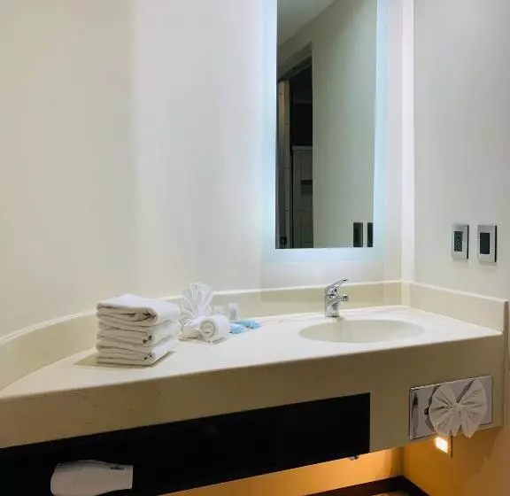 身障者適用キングサイズベッドルーム, Holiday Inn Express   Mexico Basilica, An Ihg
