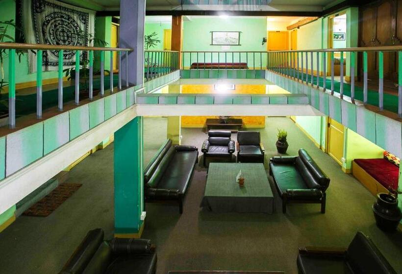 اتاق اکونومی, Nana