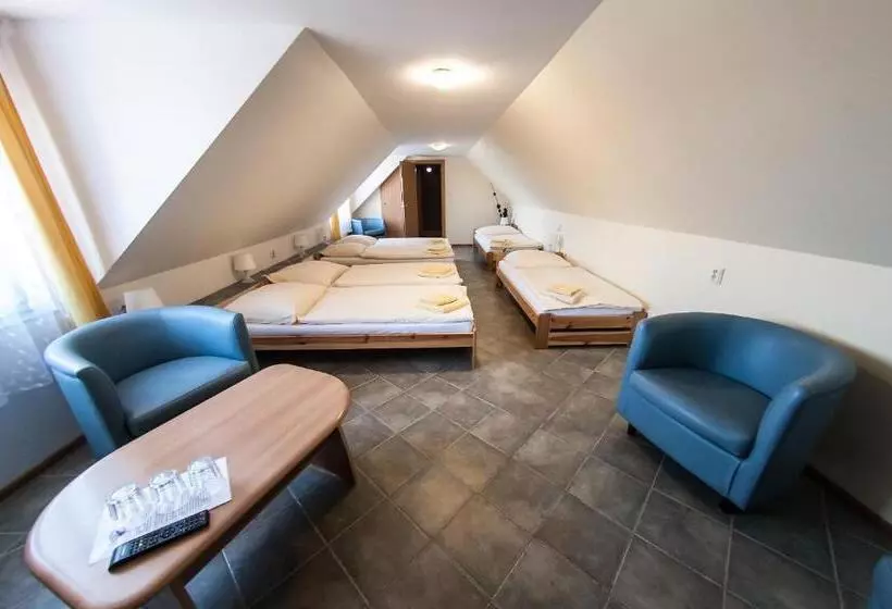 Standard Neljän Hengen Huone, Penzion Eden