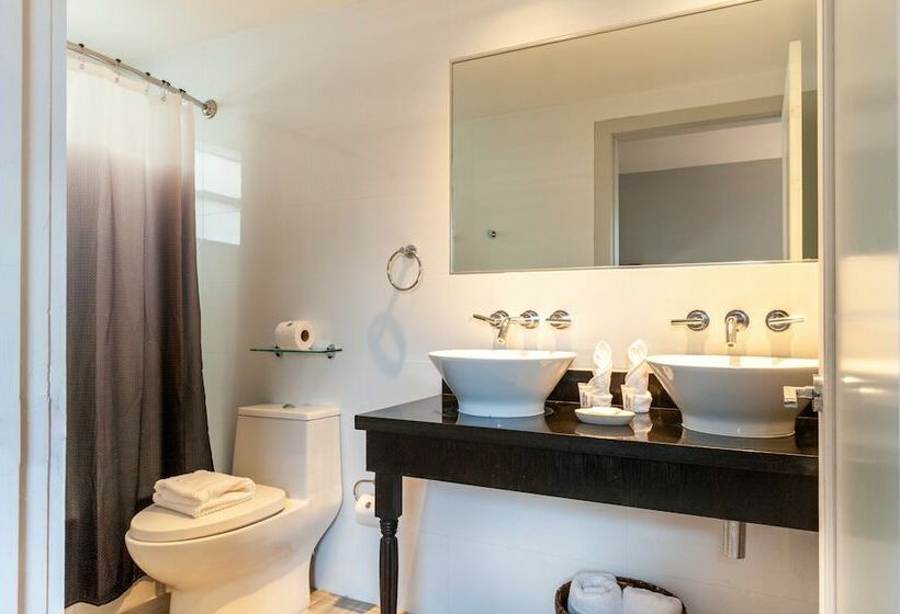 إستوديو قياسى, Seaside All Suites