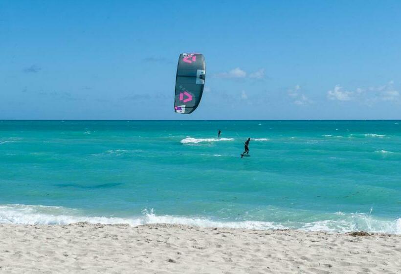 إستوديو قياسى, Seaside All Suites