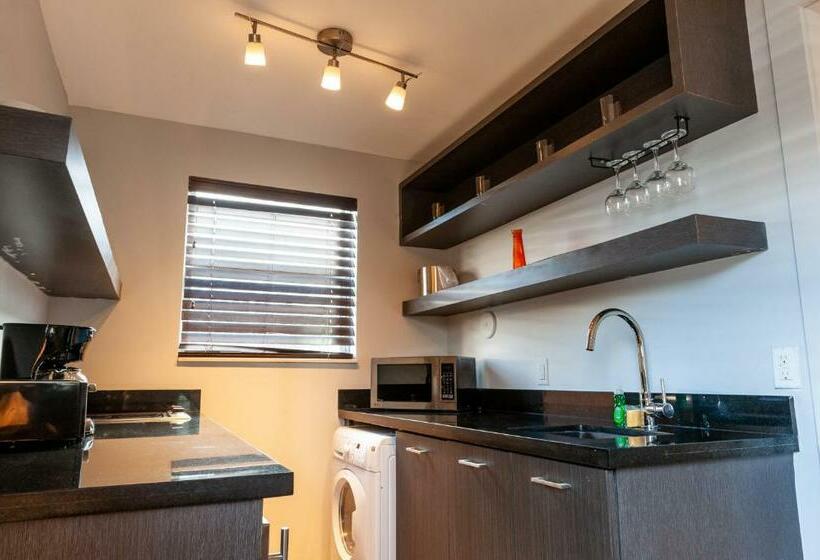 إستوديو قياسى, Seaside All Suites