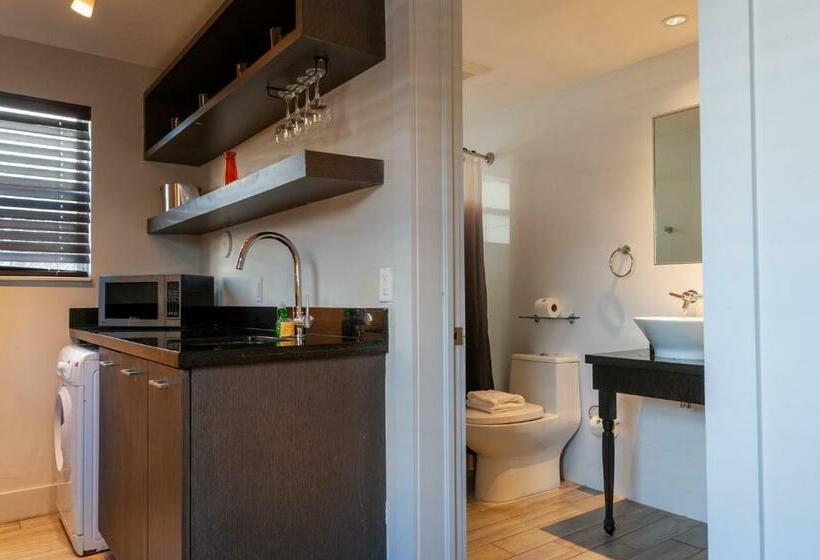 إستوديو قياسى, Seaside All Suites