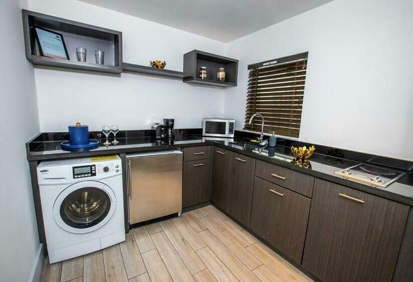 إستوديو قياسى, Seaside All Suites