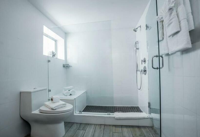 إستوديو قياسى, Seaside All Suites