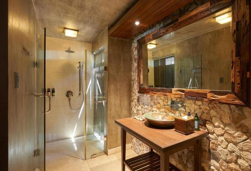 オーシャンビュースタンダードルーム, Two Seasons Coron Island Resort