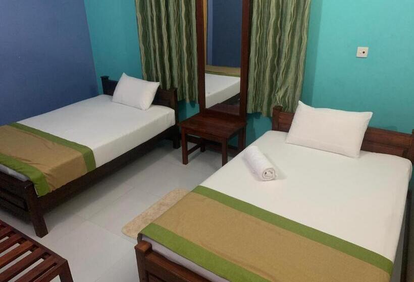 经济房, Cinnamon Tree