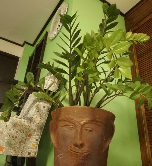 اتاق لوکس با بالکن و چشمانداز دریا, Blu Vista Cottages