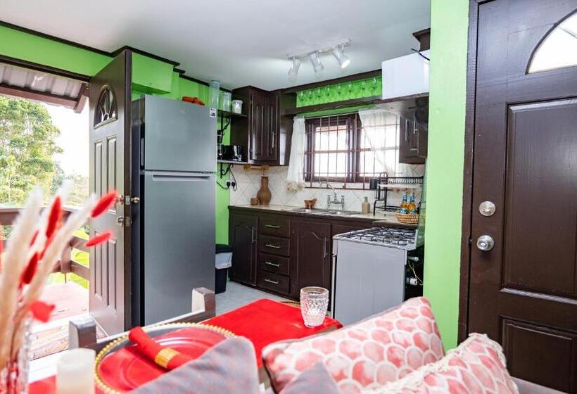 آپارتمان 1 خوابه با چشمانداز دریا, Blu Vista Cottages