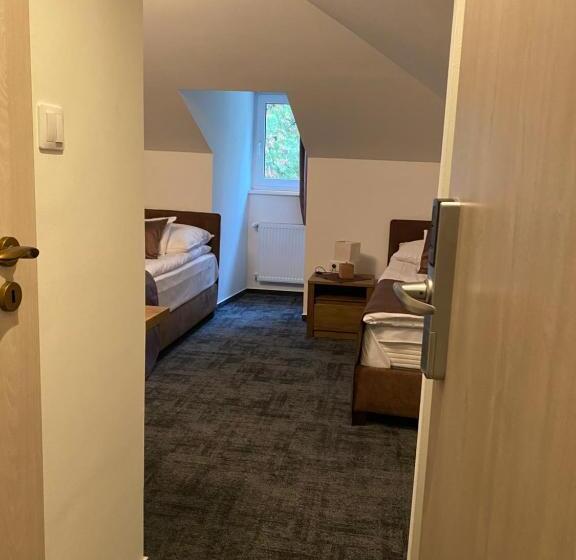 غرفة قياسية, A Fogadó