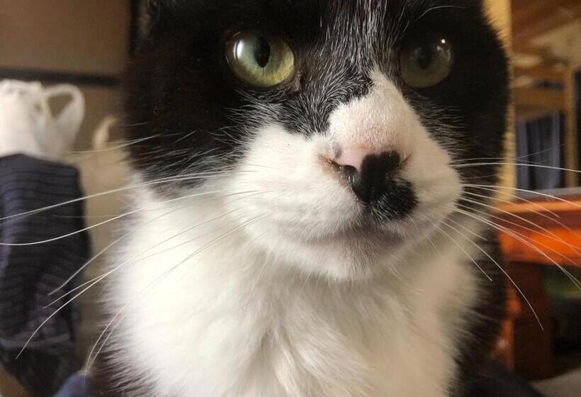 בית, חדר שינה 1, Nihonichi Shoboi Guest House   Vacation Stay 13383