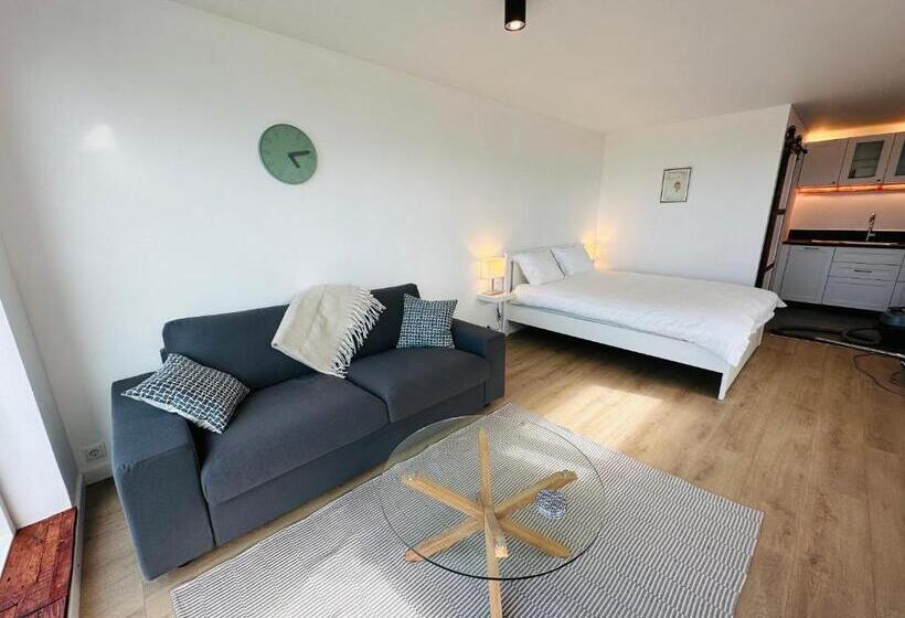 استودیوی استاندارد با چشم‌انداز دریا, Waterfront Fjord House