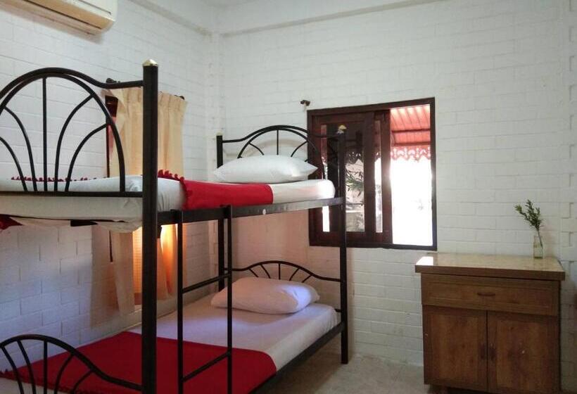 خانه 2 خوابه, Monkey Samui Hostel