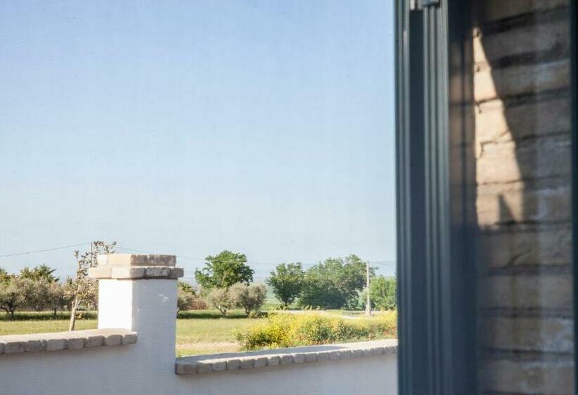 Номер Стандарт, Masseria Piana Cimino