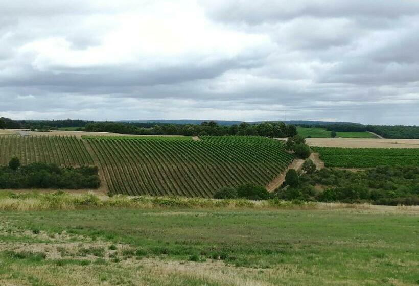 Cameră Deluxe, L Encre Du Temps