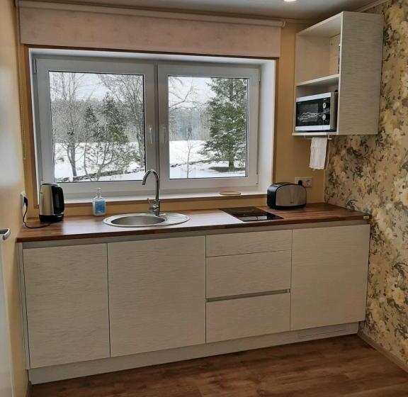 اتاق لوکس, ämmamoori Maja   Mother In Law S House