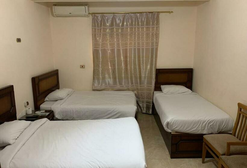 اتاق استاندارد یک نفره, Al Saraya Hotel Bani Sweif