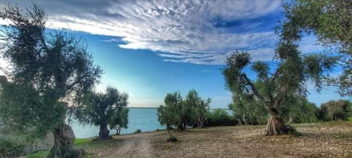 Номер Стандарт Вид на Озеро, B&b La Torre Antica