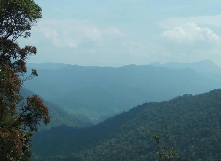 اتاق استاندارد یک نفره, Hai Dang