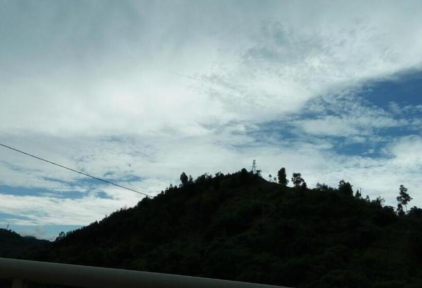 اتاق راحتی سه تخته, Hai Dang