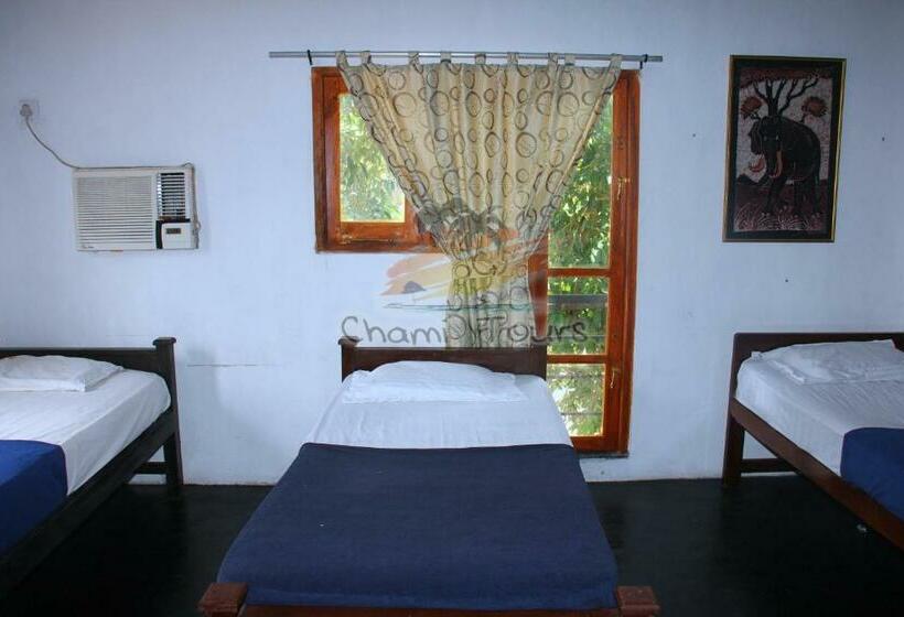 غرفة قياسية ثلاثية حمام مشترك, Airport Tourist Hostel