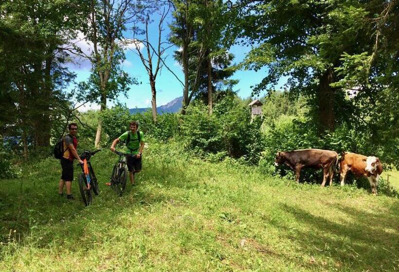 آپارتمان 1 خوابه, Juvanova Hiša   Apartments And Rooms