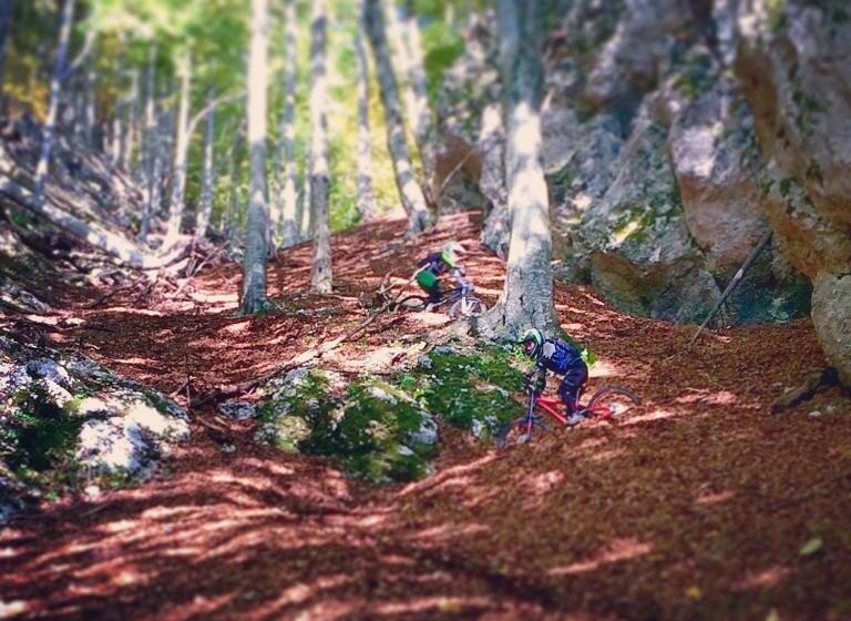 آپارتمان 1 خوابه, Juvanova Hiša   Apartments And Rooms