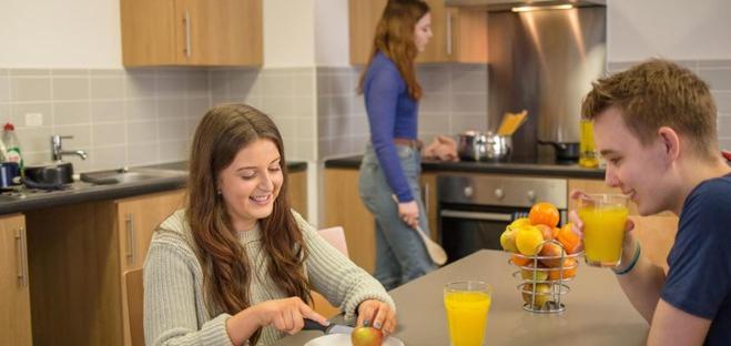 1 Schlafzimmer Apartment, Fferm Penglais Apartments