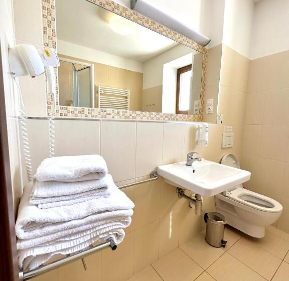 Standard-huone Parveke, Kopanice