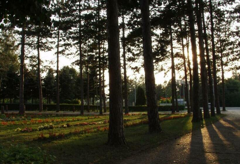 اتاق استاندارد یک نفره, Ravni Gaj