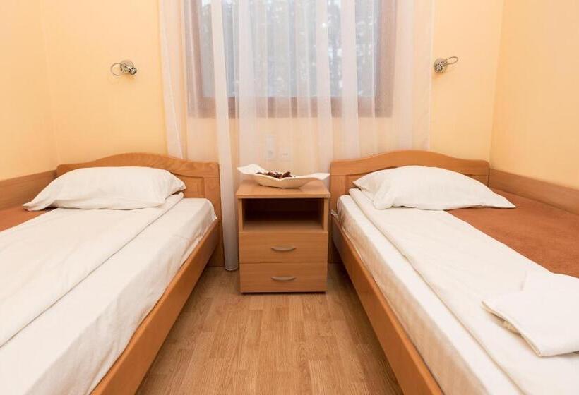 اتاق استاندارد, Ravni Gaj