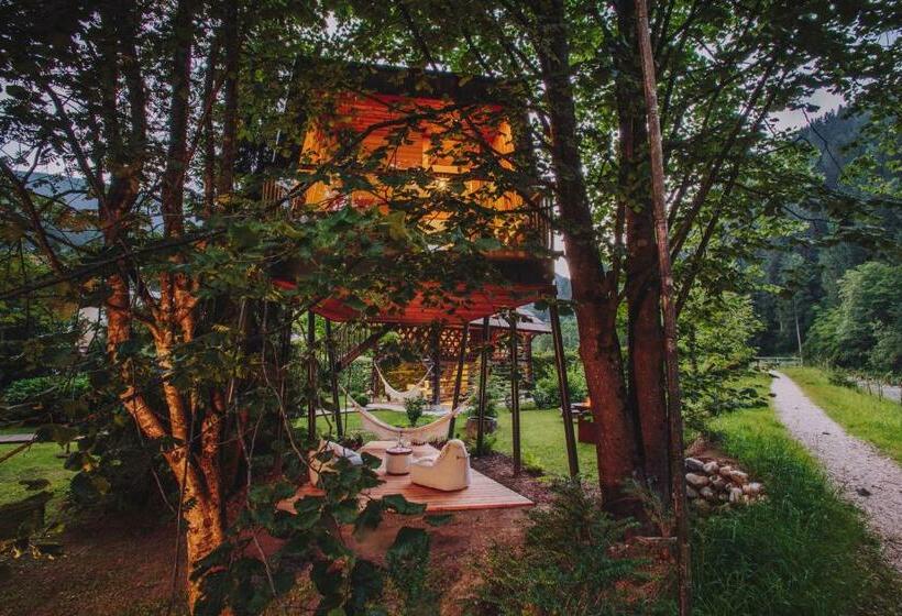 سوییت, House Raduha