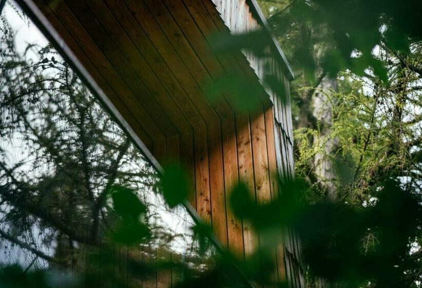 سوییت, House Raduha