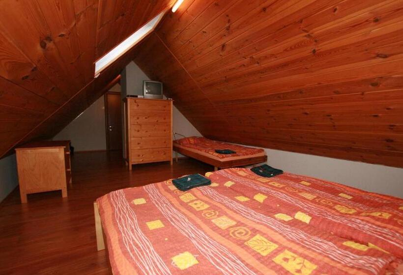 اتاق استاندارد سه تخته با سرویس بهداشتی مشترک, Penzion Semerink