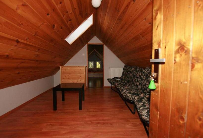 اتاق استاندارد چهارنفره با سرویس بهداشتی مشترک, Penzion Semerink