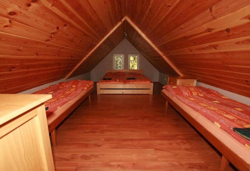 اتاق استاندارد چهارنفره با سرویس بهداشتی مشترک, Penzion Semerink