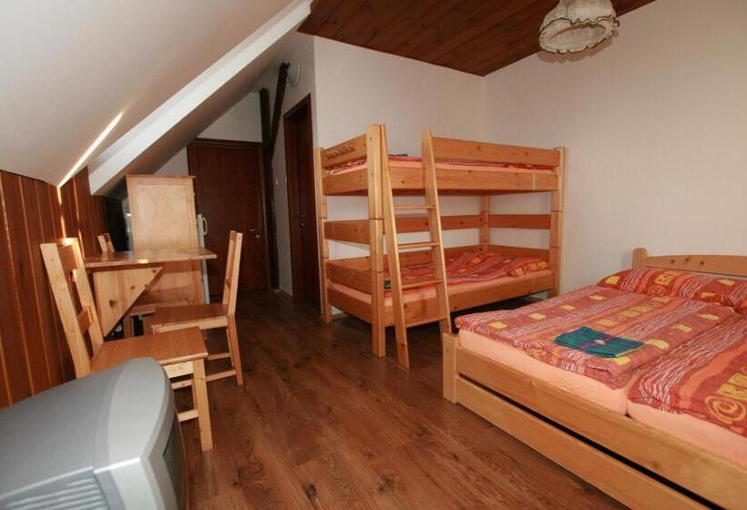 اتاق استاندارد چهار تخته, Penzion Semerink