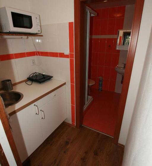 آپارتمان 1 خوابه, Penzion Semerink