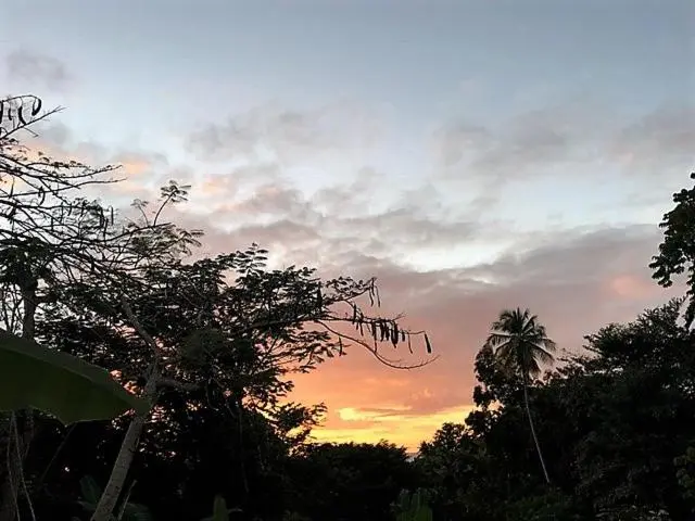ویلای لوکس 1 خوابه, Tobago Hibiscus Golf Villas & Appartments