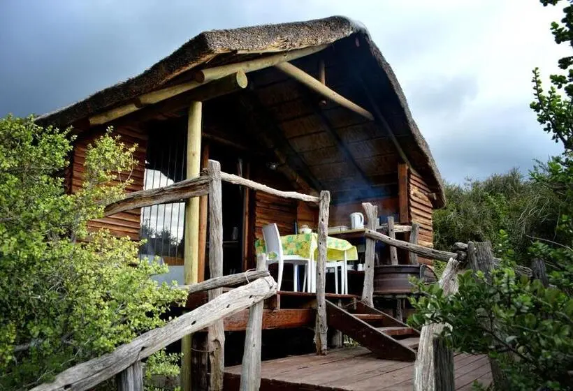 スタンダードバンガロー, Addo Dung Beetle Guest Farm