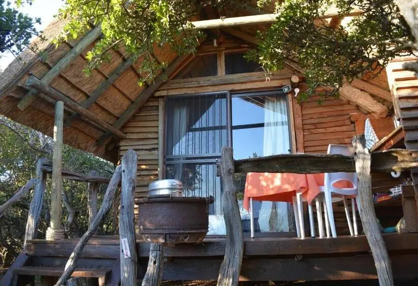 スタンダードバンガロー, Addo Dung Beetle Guest Farm